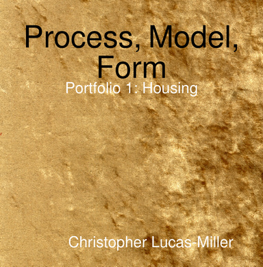 Process, Model, Form - Portfolio 1: Housing