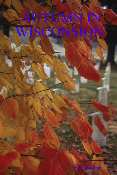 AUTUMN IN WISCONSION