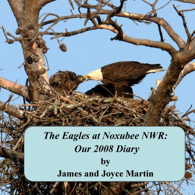 The Eagles at Noxubee NWR: Our 2008 Diary