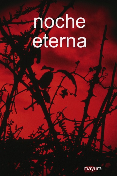 noche eterna