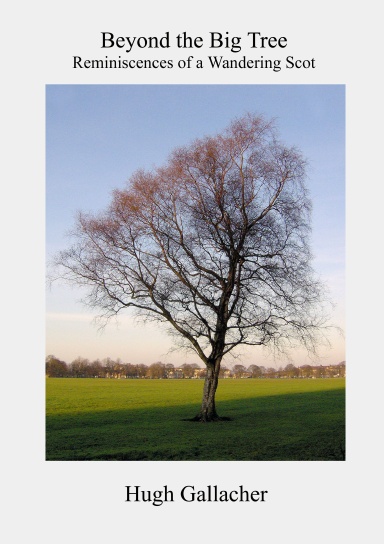 Beyond the Big tree