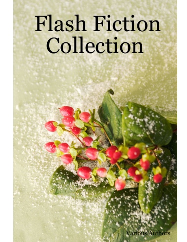 Flash Fiction Collection