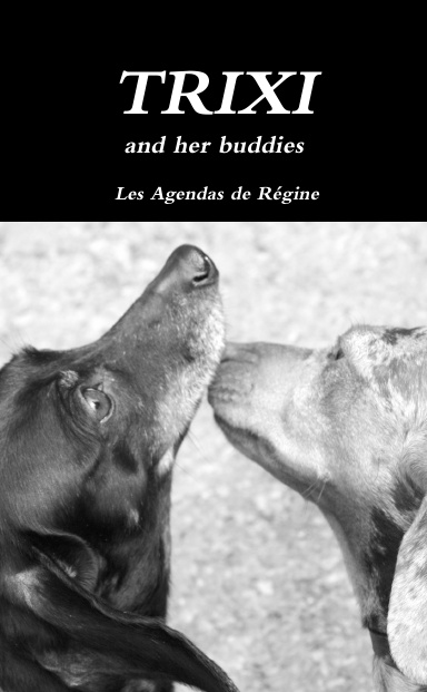 TRIXI and her buddies Weekly Diary