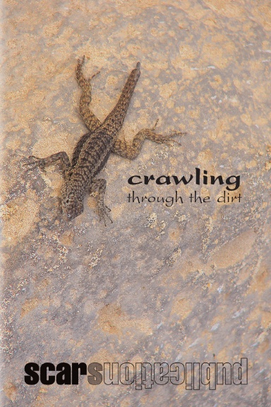 Crawling Through the Dirt (6" x 9" paperback, color interior pages)