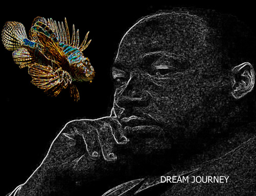 DREAM JOURNEY