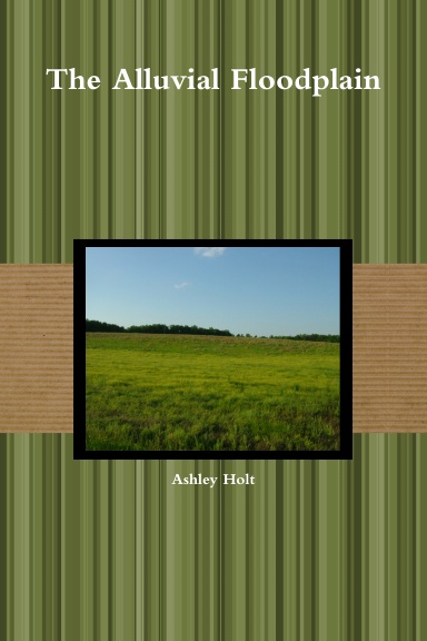 The Alluvial Floodplain
