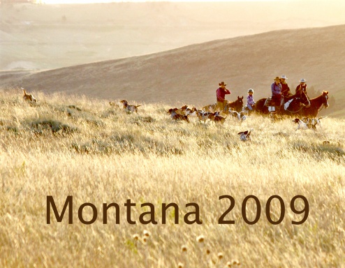Montana 2009