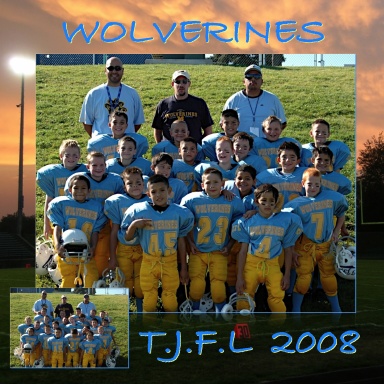2008 wolverines