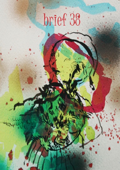 brief 38