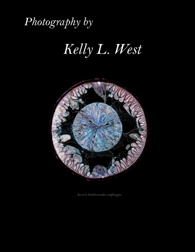 Photography by Kelly L. West