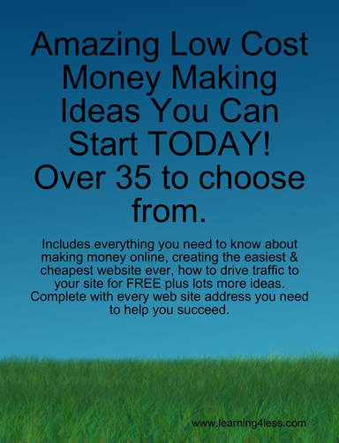 Amazing Low Cost Money Making Ideas You Can Start TODAY!