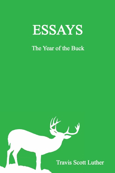 Essays