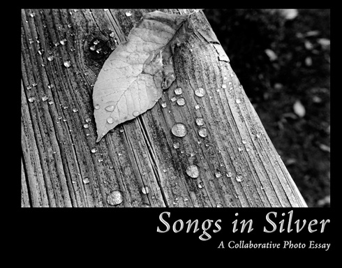 SONGS IN SILVER
