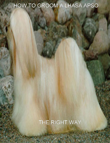 How to Groom A Lhasa ApsoThe Right Way