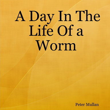 A Day In The Life Of a Worm