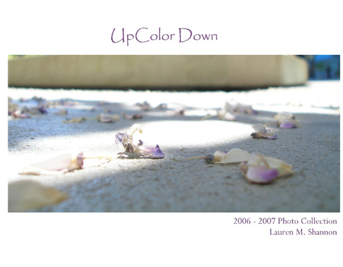 Upcolor Down: 2006 - 2007 Photo Collection