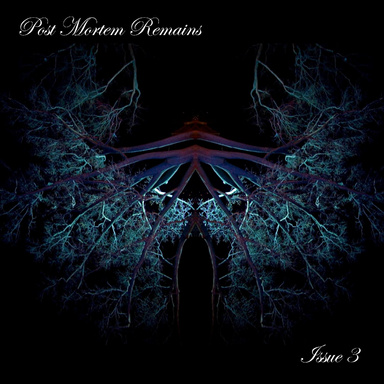 Post Mortem Remains Issue#3
