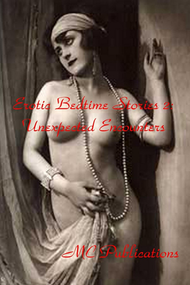 Erotic Bedtime Stories 2: Unexpected Encounters