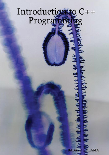 Introduction to C++ Programming