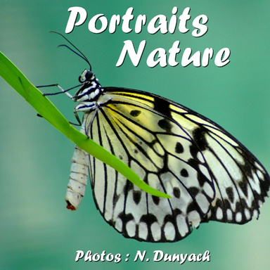 Portraits Nature