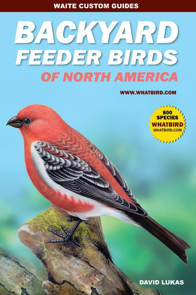Backyard Feeder Birds of North America Rev 2