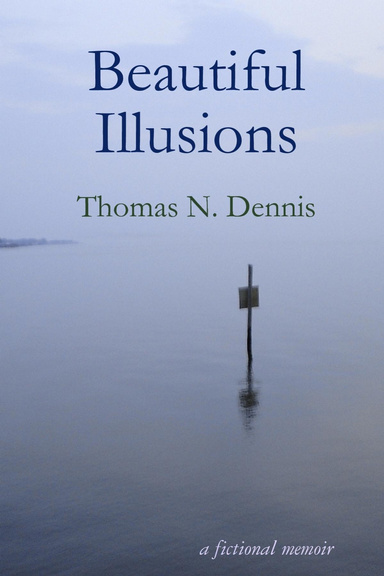 Beautiful Illusions