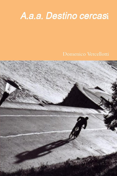 A.a.a. Destino cercasi