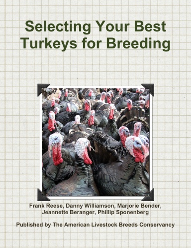 Selecting Your Best Turkeys for Breeding