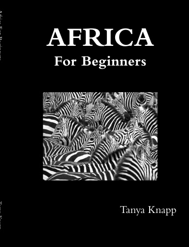 Africa For Beginners