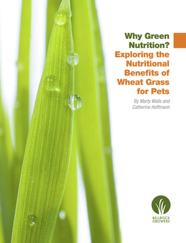 Why Green Nutrition? Exploring the Nutritional Benefits of Wheat Grass for Pets
