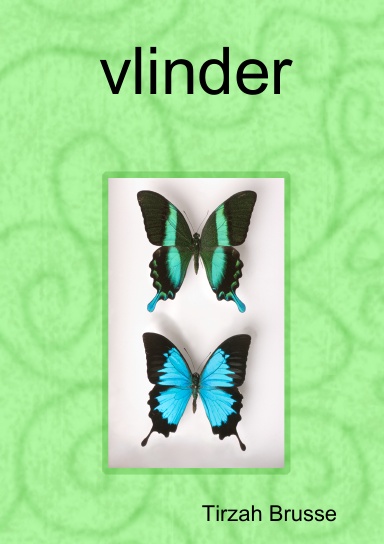 vlinder