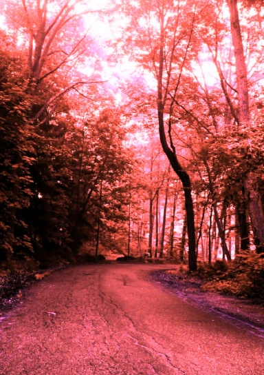 MNIS: Part Two PRETTY IN SCARLET