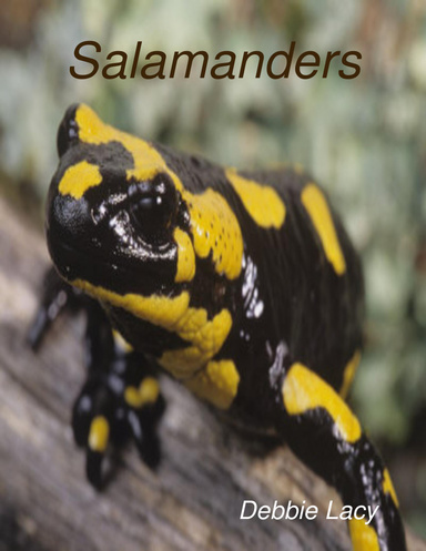 Salamanders