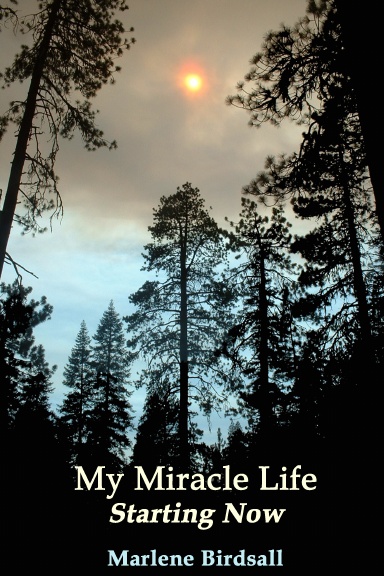My Miracle Life