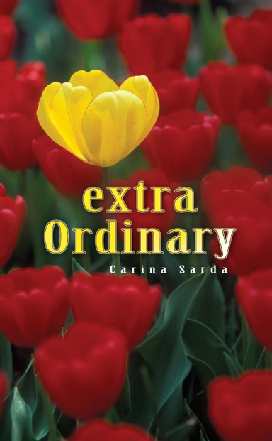 Extra Ordinary