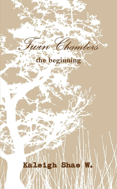 Twin Chambers, the beginning.