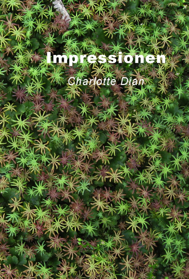 Impressionen