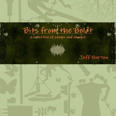 Bits from the Boldt