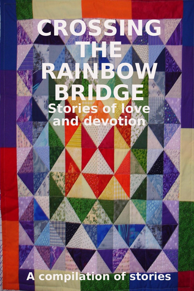 Crossing The Rainbow Bridge I