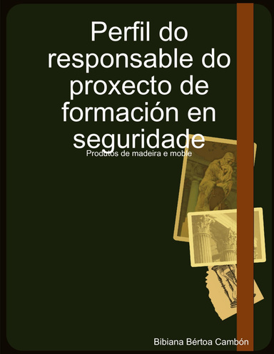 Perfil do responsable do proxecto de formación en seguridade