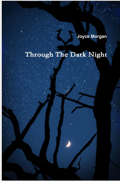Through the Dark Night