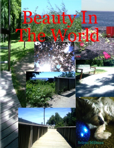 Beauty In The World