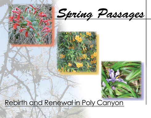Spring Passages
