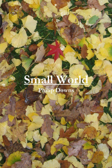 Small World
