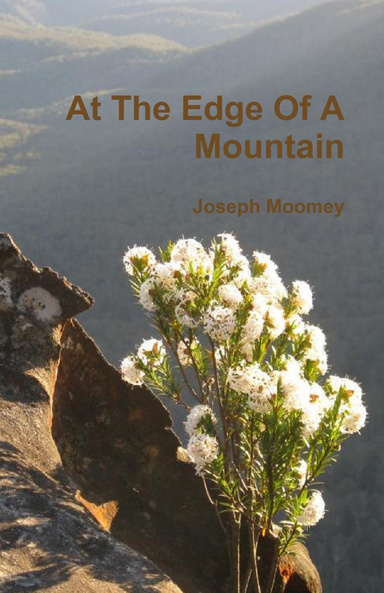 At The Edge Of A Mountain