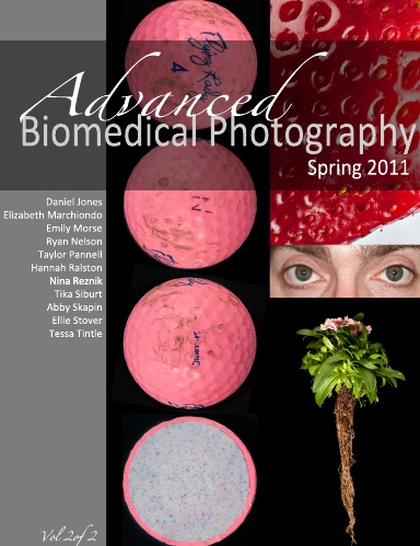Advanced Biomed Spring 2011 Vol 2