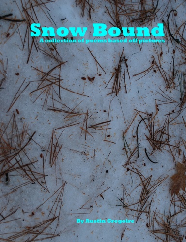Snow Bound