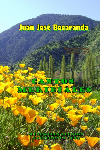 CANTOS MERIDIALES