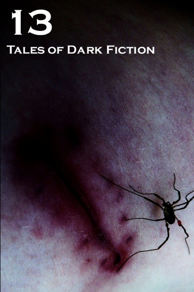 13: Tales of Dark Fiction