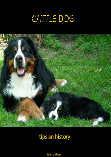 Cattle Dog - Tips and History